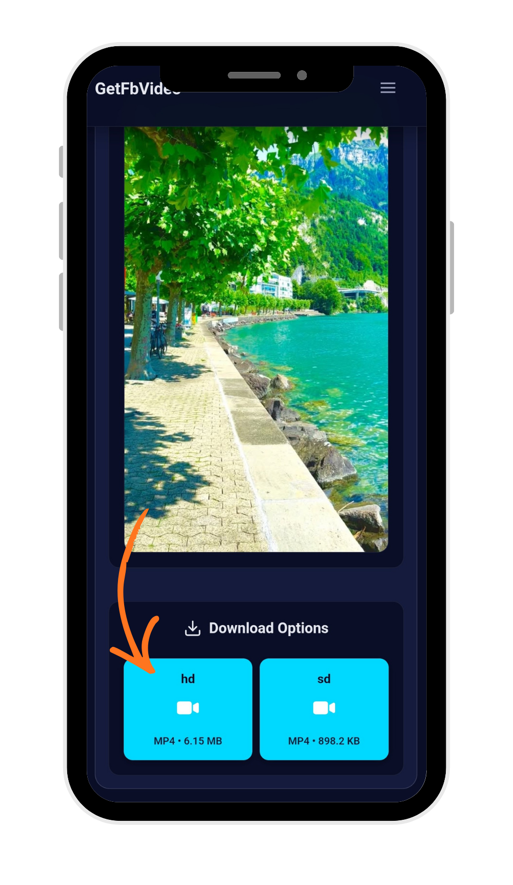 Download Facebook video